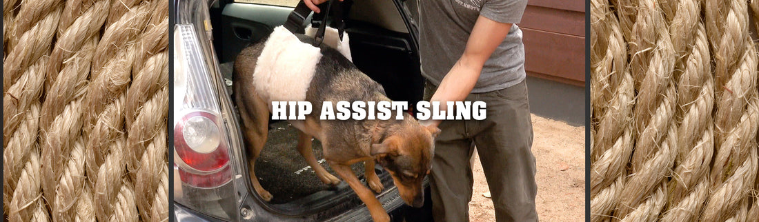 Product Feature: Hip Assist Sling