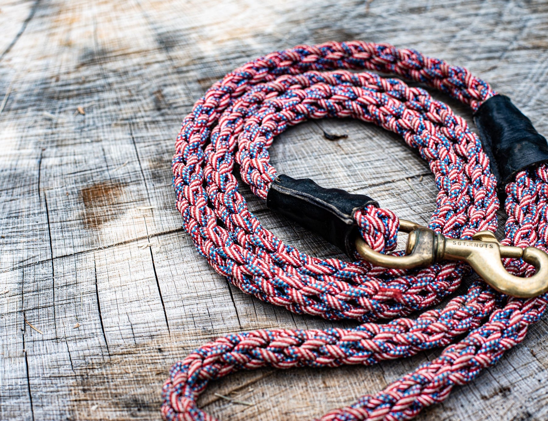 How to Make a Paracord Dog Leash