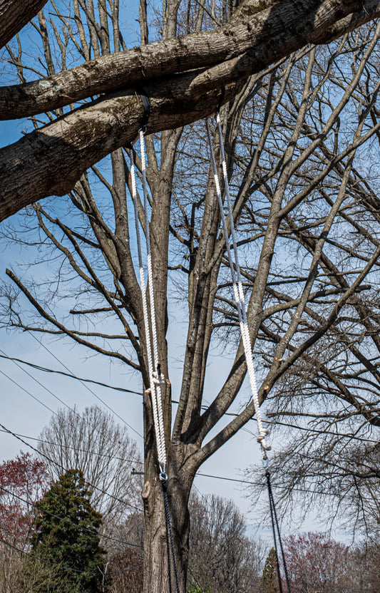 Make Your Own Backyard Rope Swing: DIY Tutorial