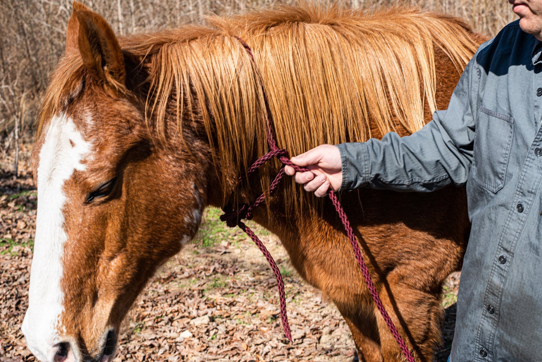 diy horse tack rope