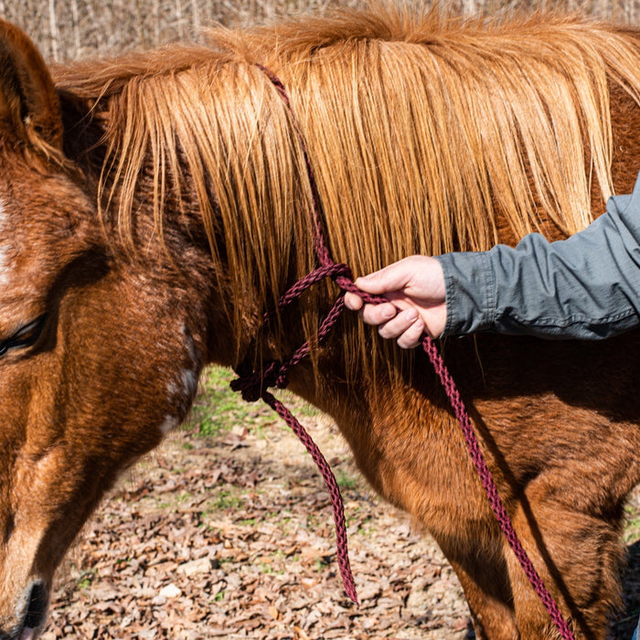 diy horse tack rope