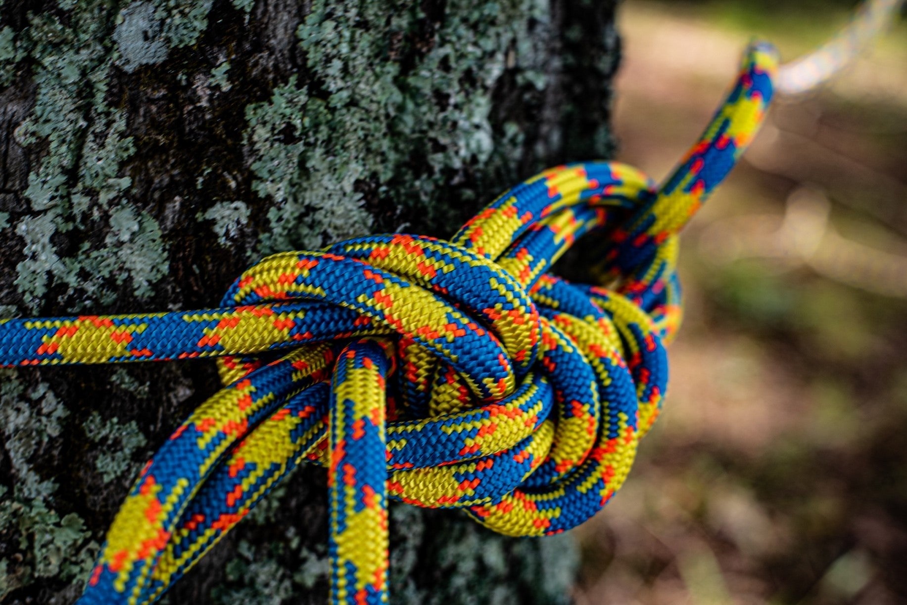 Learn 10 Basic Tree Climbing Knots for Safe Arborist Work | SGT KNOTS ...