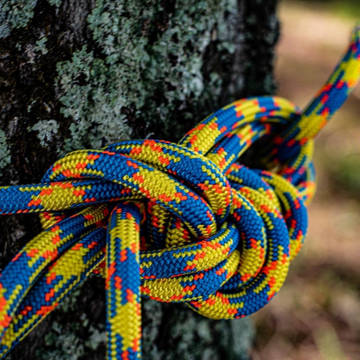 rope tied around tree with arborist knot