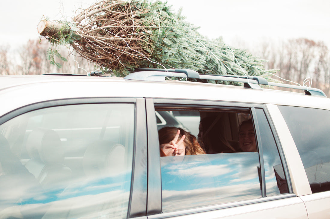 tied down christmas tree on roof rack of car