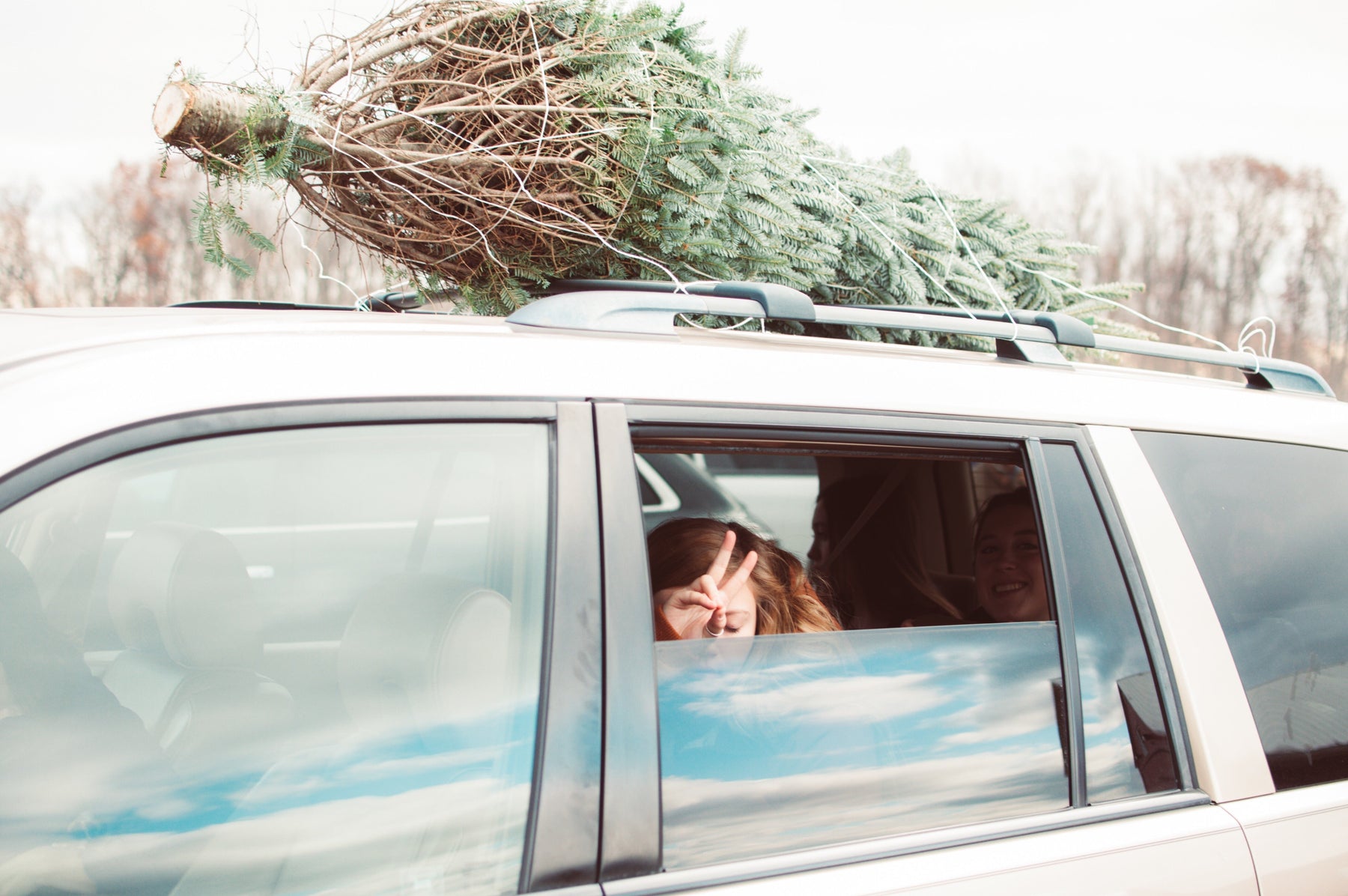 tied down christmas tree on roof rack of car