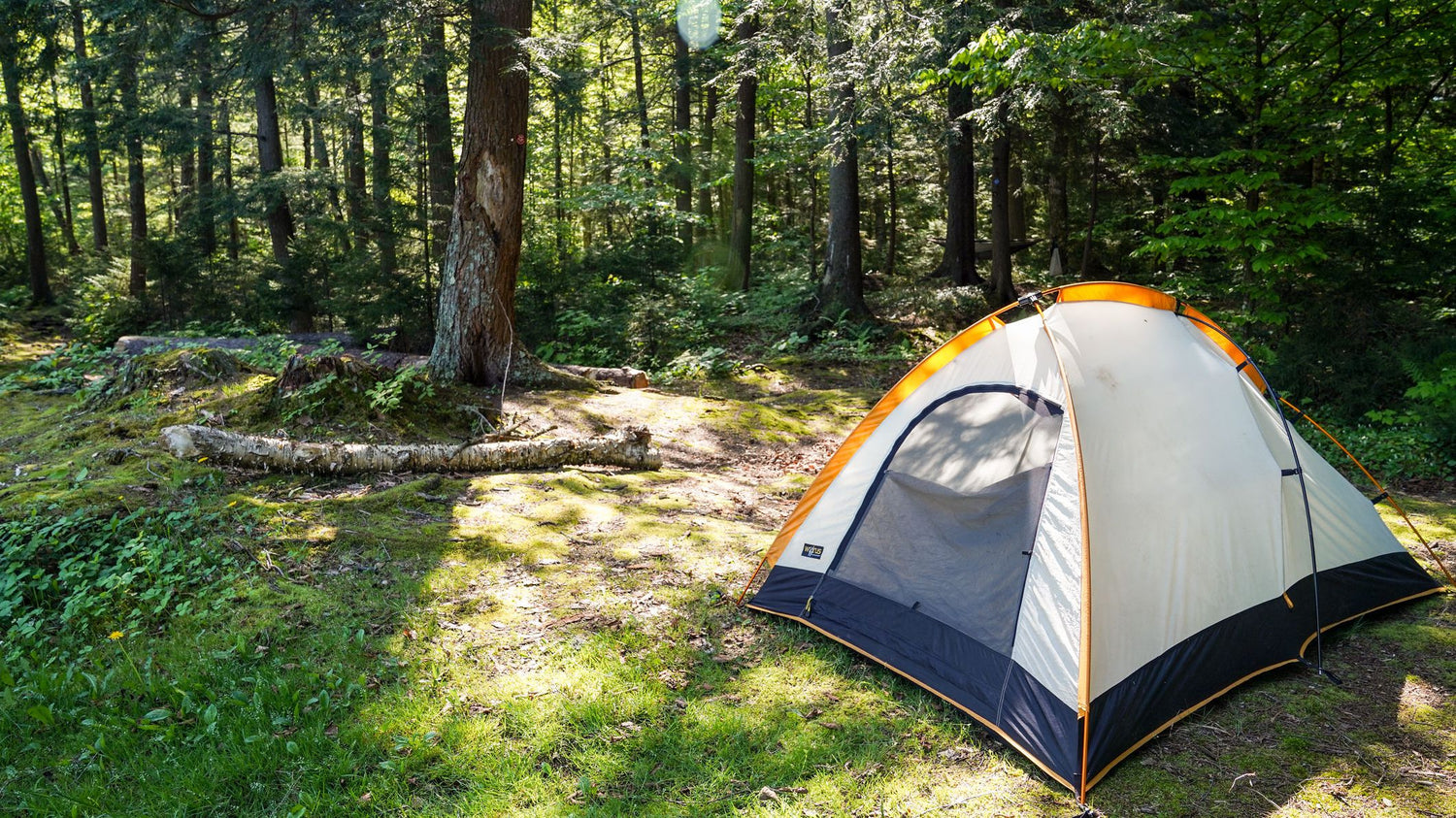 Camping Ropes & Supplies